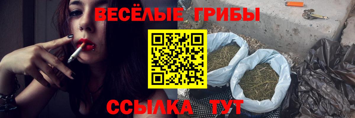 Псилоцибиновые грибы Psilocybine cubensis Егорьевск