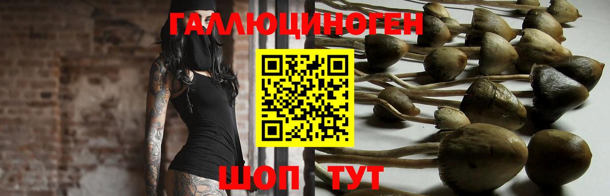 Егорьевск  наркошоп  Вход с VPN  Галлюциногенные грибы мухоморы 